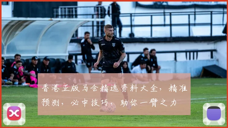 香港正版马会精选资料大全，精准预测，必中技巧，助你一臂之力