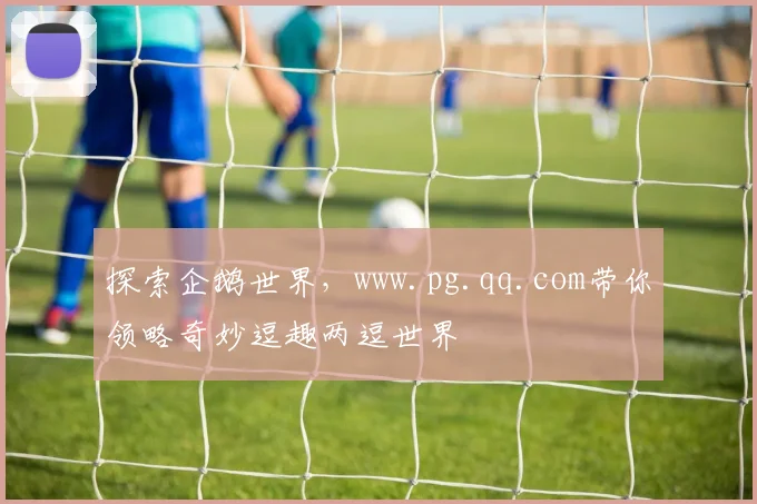 探索企鹅世界，www.pg.qq.com带你领略奇妙逗趣两逗世界